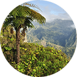 madagascar