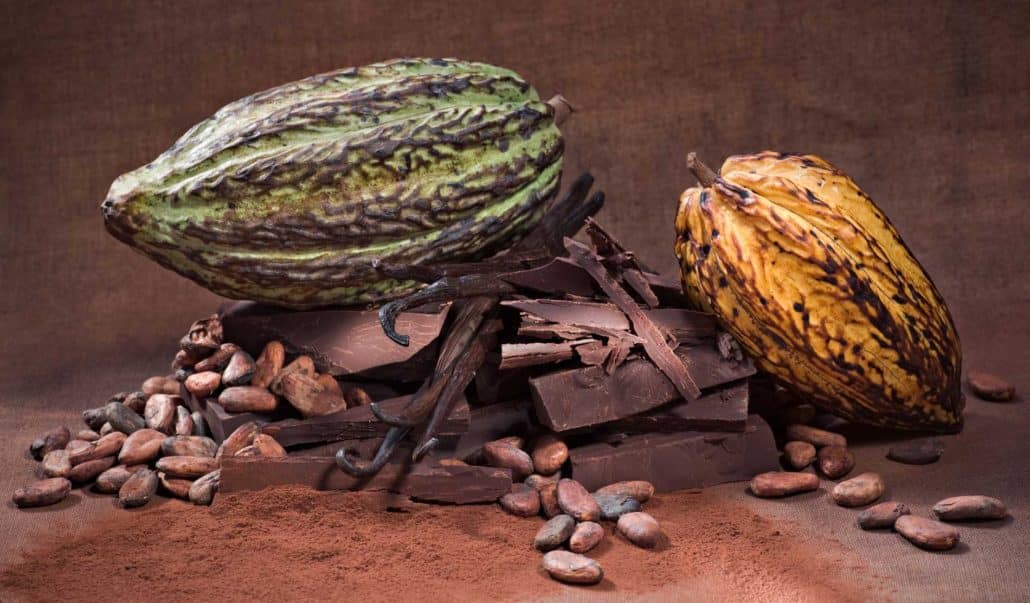 cacaobonen chocolade