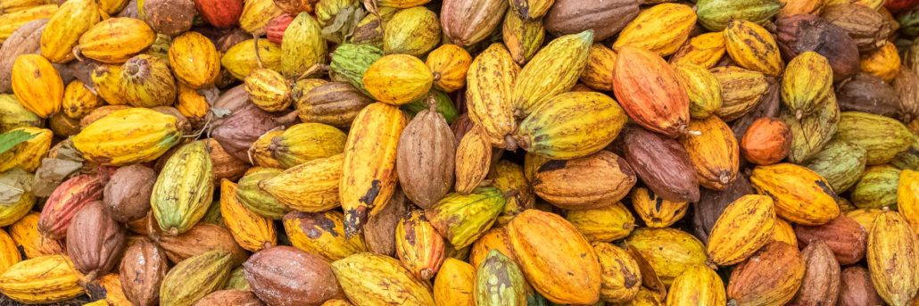cacaobonen